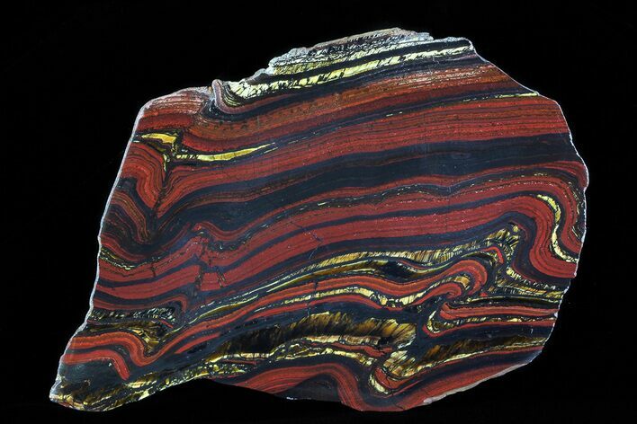 Polished Tiger Iron Stromatolite - ( Billion Years) #75860